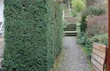 Wohnung zum Wohlfühlen beruflich und privat - Foto 13