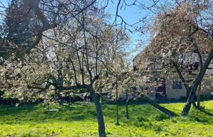 Großes Ferienhaus an der Ostsee "Oldevighus" - Foto 8