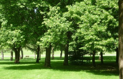 L'Orée du Parc à Belfort - Foto 18