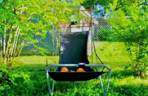 SERENITY Lakehouse - Foto 30