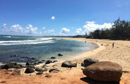 Lucy Fan Ohana - Photo 1