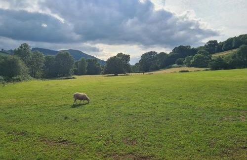 Shepherd's Hut in heart of the Brecon Beacons - Photo 23