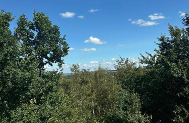 Willa Daisy - Foto 46