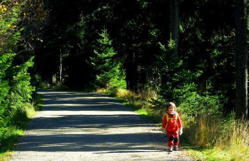 Dom Geologa - Foto 72