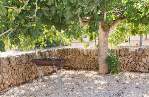 Short De Son Fideu - Foto 24