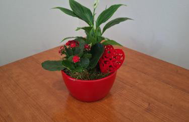 Apartman Cherry - Foto 20