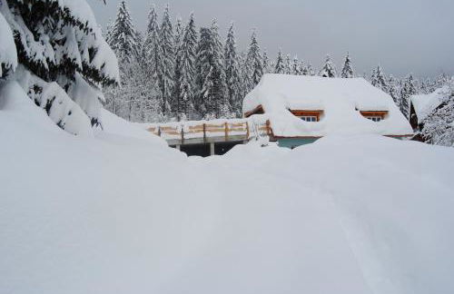 La Lince Lodge - Foto 33