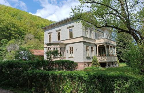 Villa Heimlicher Grund - Photo 2