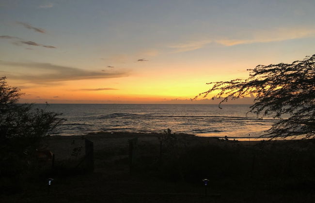 Turtles Nest Villa - Foto 53