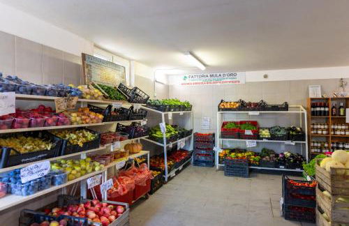 Bio Fattoria Mula D'Oro - biofattoriamuladoro it - Organic Food, Nature & Relax - Foto 35