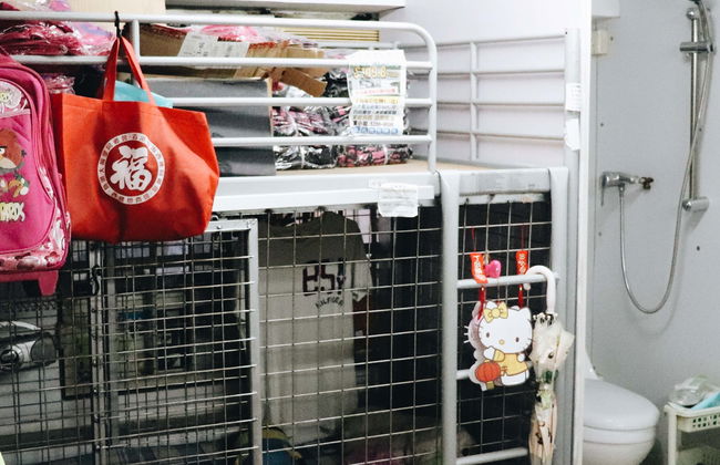 Mong Kok Tour - Foto 1