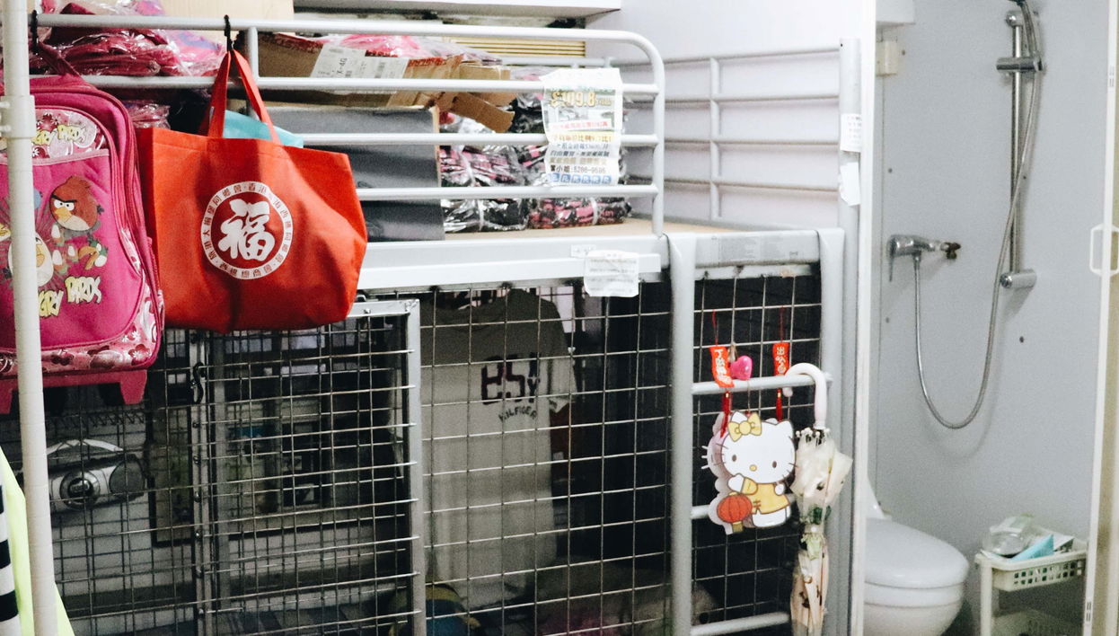 Visita guiada por Mong Kok