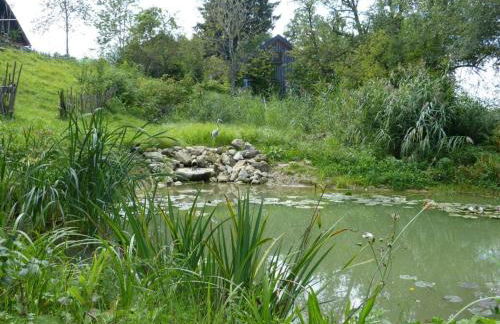 Hiemer 2 Comfortable holiday residence - Foto 16