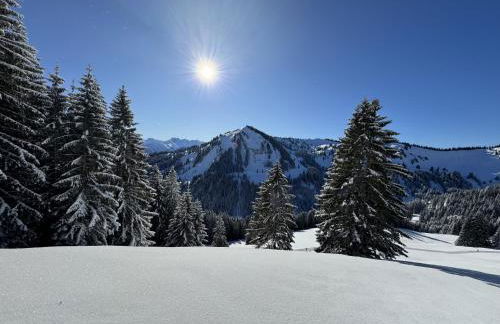 Bergpanorama, Sauna, Balkon, inkl Bergbahn, Alpenjuwel Oberstdorf - Foto 31