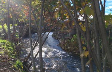 GITE DE LA PIERRE PLATE - Foto 15