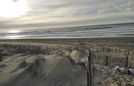 LE COURANT D'HUCHET - Foto 17