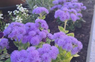 Papa's place - Foto 31