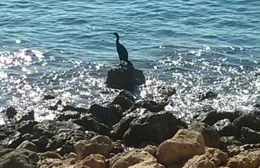 Costahispania 308 - Foto 41