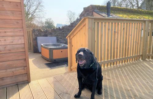 Pheasant Lodge with Hot Tub - Foto 15