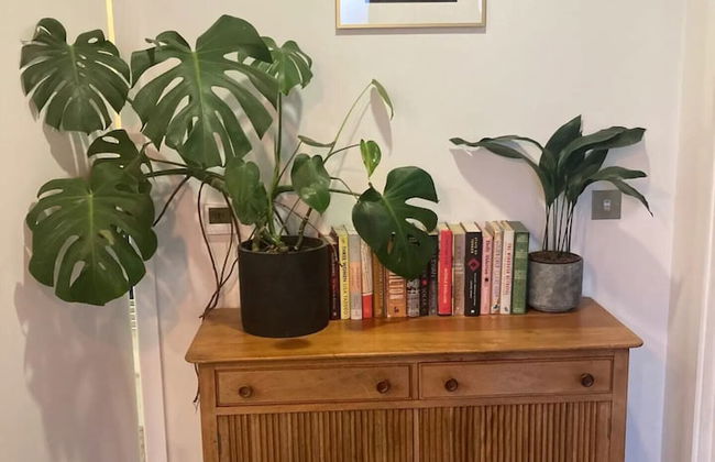 Pet Friendly 1 Bedroom Apartment in London Fields - Foto 11