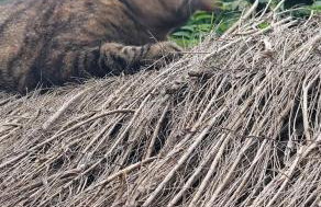 Lincoln Holiday Retreat Lodge with Private Hot Tub - Foto 41