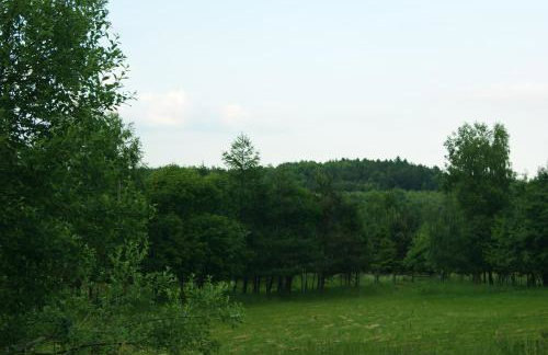 Siedlisko Błotnia - Foto 71