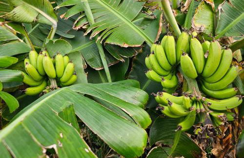 Brisa do Mar - Foto 17