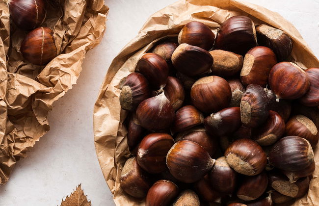 Visita a Marron Oficina da Castanha - Foto 1