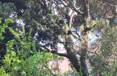 Terrace on the green - Foto 32