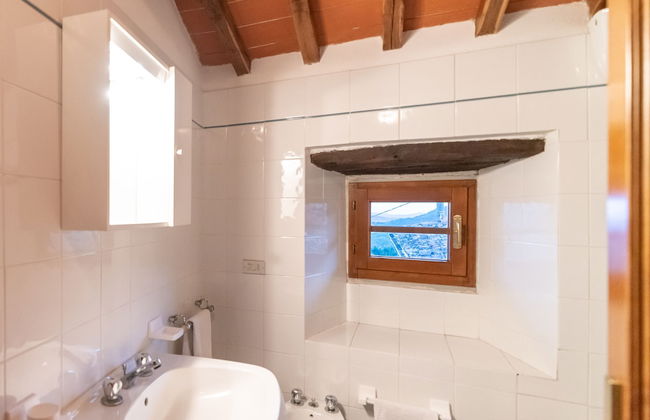 Fattoria di Cintoia - Photo 43