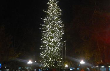 COMBI HOUSE - Foto 23