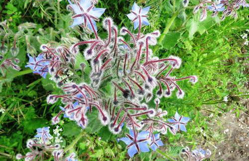 Argentella House - Foto 24