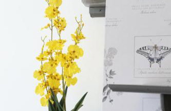 The Compact Chic Retreat - Foto 14