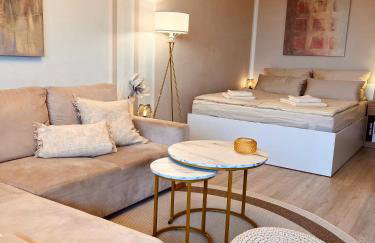 Penthouse studio apartment with terrace near Audi - Photo 29