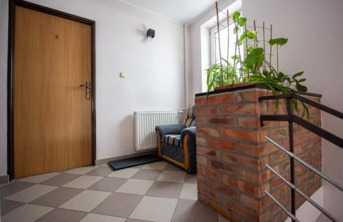 Skalny Widok - Foto 17