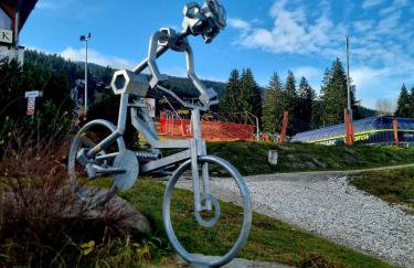 Biała Perła - Apartament 418 PRZY STOKU na Czarnej Górze - Foto 31