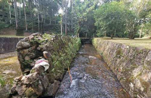 Natureza Instagrmável Casa Penedo - Photo 17