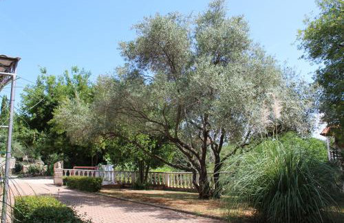 Apartments Seka - Foto 14