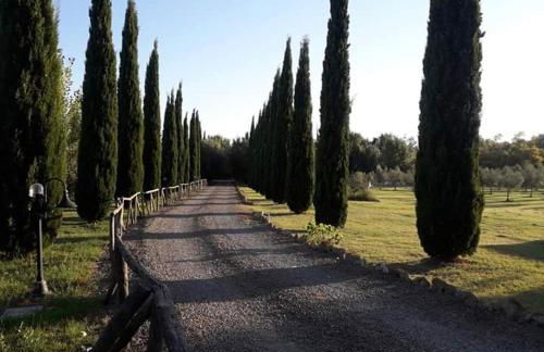 Agriturismo Lupo Cerrino - Foto 17