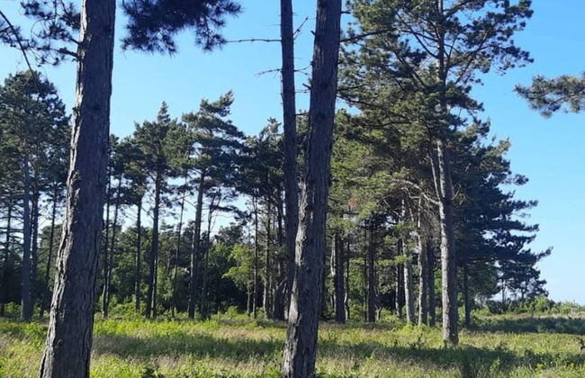 5 Person Holiday Home in Rorvig - Foto 7