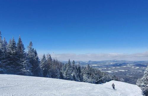 Burke Abode - Trailside Condo with King & Full Beds - Foto 29