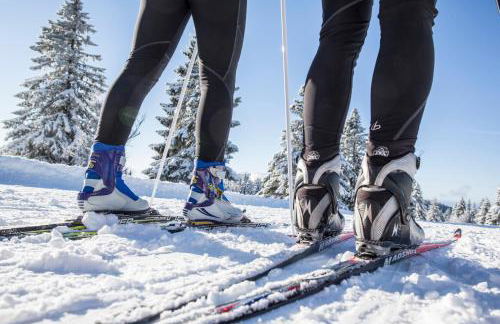 Villa Number 8 - Photo 28