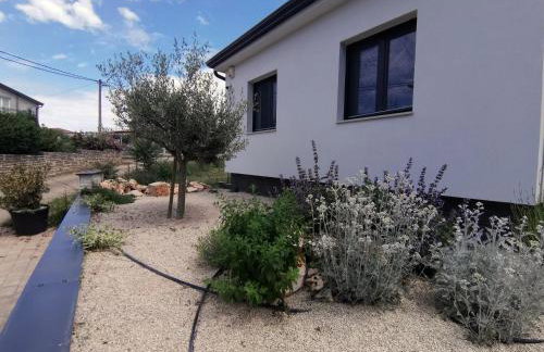 Villa Oliva - Photo 2