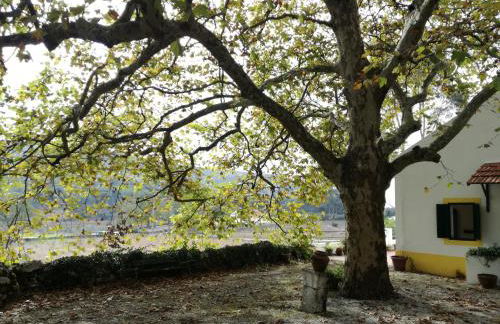 Montejunto Villas - Casa do Plátano - Foto 59