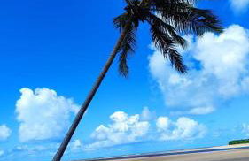 Villas Patacho G 102 - Milagres - Foto 45