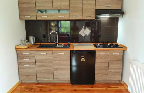 Izby Gościnne Stara Olejarnia - Foto 7