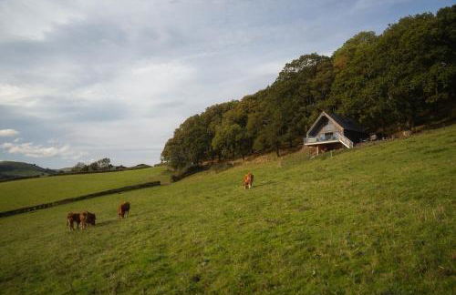 Oolert Treehouse - Photo 8