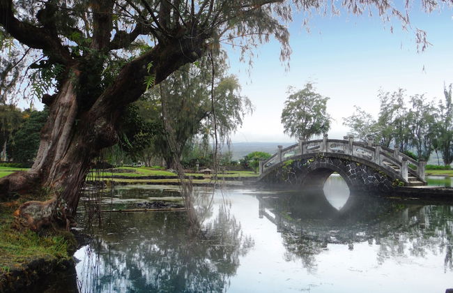 Hale Ola Aina 2 Bedroom Home by RedAwning - Photo 14