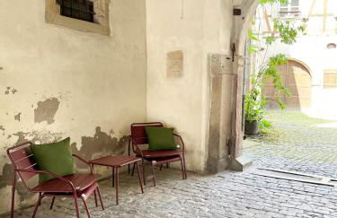 Le Baumann Concept: Appartement de Charme dans un Monument Historique - Foto 37