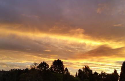 Haus Harzer Bergblick all inklusiv Sauna Whirlpool - Foto 23